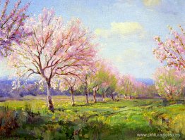 Huerto de duraznos en la granja Mavericks Huerto de duraznos en la granja Mavericks