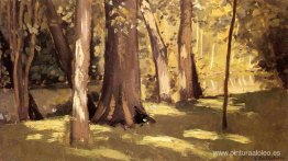 Los Yerres, Efecto de la Luz Los Yerres, Efecto de la Luz