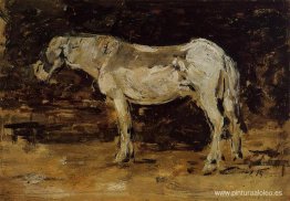 El caballo blanco El caballo blanco