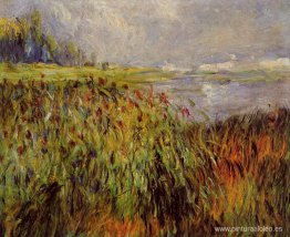 Juncos a orillas del Sena Juncos a orillas del Sena