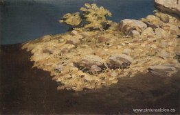 Ladera de montaña. Crimea Ladera de montaña. Crimea