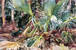 Palmitos, Florida Palmitos, Florida
