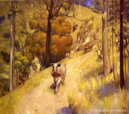 Una reunión de montaña Una reunión de montaña