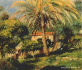 la palmera la palmera