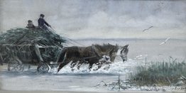 Cosecha de caña Cosecha de caña