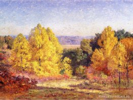 Los álamos Los álamos