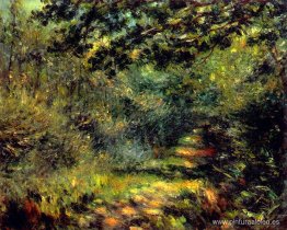 Camino del bosque Camino del bosque