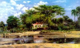 La Paineira de Ponce - La ceiba de Ponce La Paineira de Ponce - La ceiba de Ponce