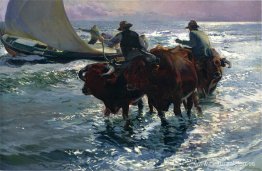 toros en el mar toros en el mar