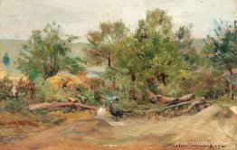 Pavos en Vlaici Pavos en Vlaici