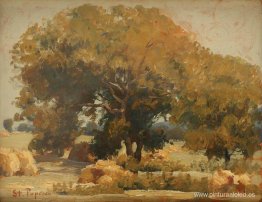 A la sombra de los nogales A la sombra de los nogales