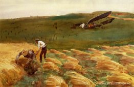 Avión estrellado Avión estrellado