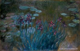 Lirios y nenúfares Lirios y nenúfares