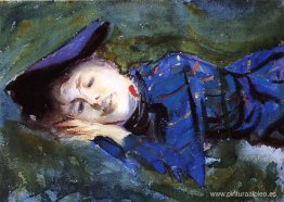 Violeta descansando sobre la hierba Violeta descansando sobre la hierba