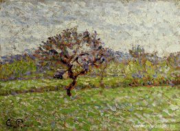 Un manzano en Eragny Un manzano en Eragny