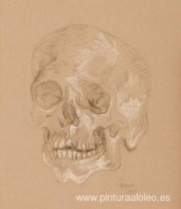 Cráneo Cráneo