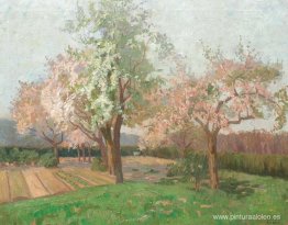 Cerezos en flor Cerezos en flor