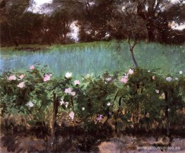 paisaje con enrejado de rosas paisaje con enrejado de rosas