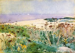 Isla de los bajíos Isla de los bajíos