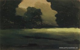 Claro del bosque. Niebla Claro del bosque. Niebla