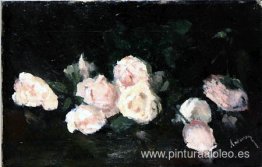 rosas rosadas rosas rosadas