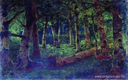 Un bosque de abedules Un bosque de abedules