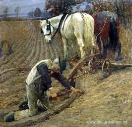 El último furro El último furro