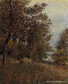 Un rincón del bosque de Roches Courtaut, junio Un rincón del bosque de Roches Courtaut, junio