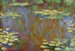 Nenúfares Nenúfares