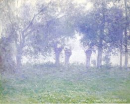 Niebla de la mañana Niebla de la mañana