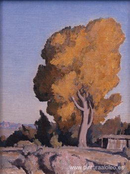 Álamo del país bajo Álamo del país bajo