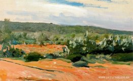 estudio chumberas estudio chumberas