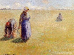 Tres mujeres cortando pasto Tres mujeres cortando pasto