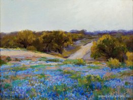 Bluebonnets al final de la tarde Bluebonnets al final de la tarde