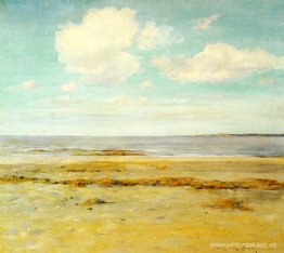 La playa desierta La playa desierta