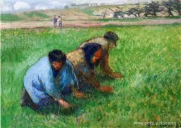 Desmalezadores Desmalezadores