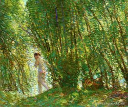 al atardecer al atardecer