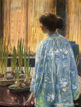 El jardín de mesa El jardín de mesa