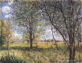 Sauces en una tarde de campo Sauces en una tarde de campo