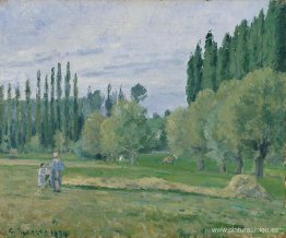 Henificación Henificación