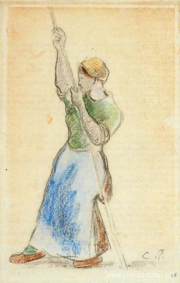 Campesino plantando palitos de guisantes Campesino plantando palitos de guisantes