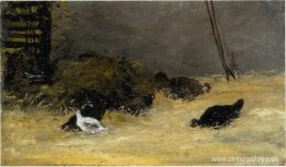 Gallinero Gallinero