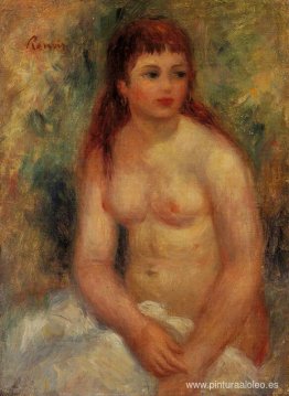 Mujer joven sentada, desnuda Mujer joven sentada, desnuda