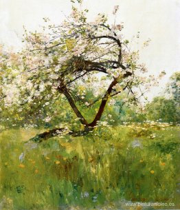 Flores de melocotón - Villiers-le-Bel Flores de melocotón - Villiers-le-Bel