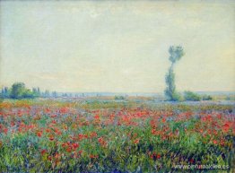 campo de amapolas campo de amapolas