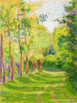 Paisaje en San Carlos Paisaje en San Carlos