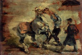 Caballo peleando con su novio Caballo peleando con su novio