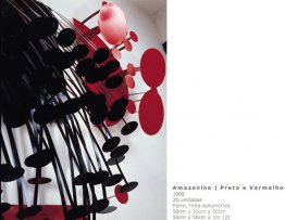 Amazonia Negra y Roja Amazonia Negra y Roja