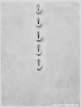 Cinco Arañazos Cinco Arañazos