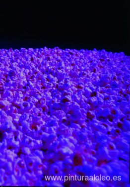 luz de la luna luz de la luna